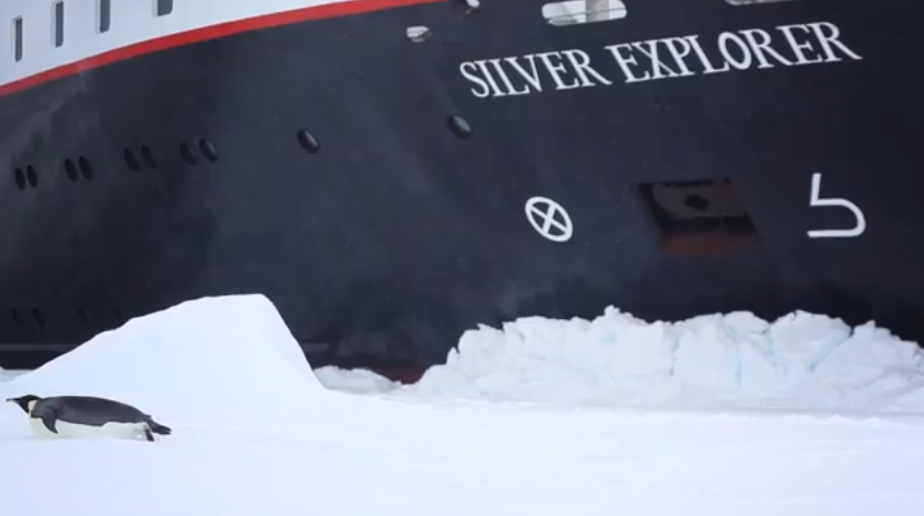 Luxury Expedition Cruise to Antarctica - The Best Way to Explore the 7th Continent video screenshot. Silver Exlorer ship touching snow with penguin